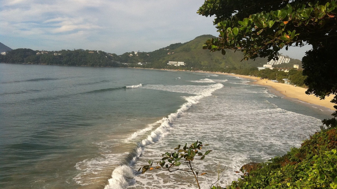 Photo of Others in Toninhas