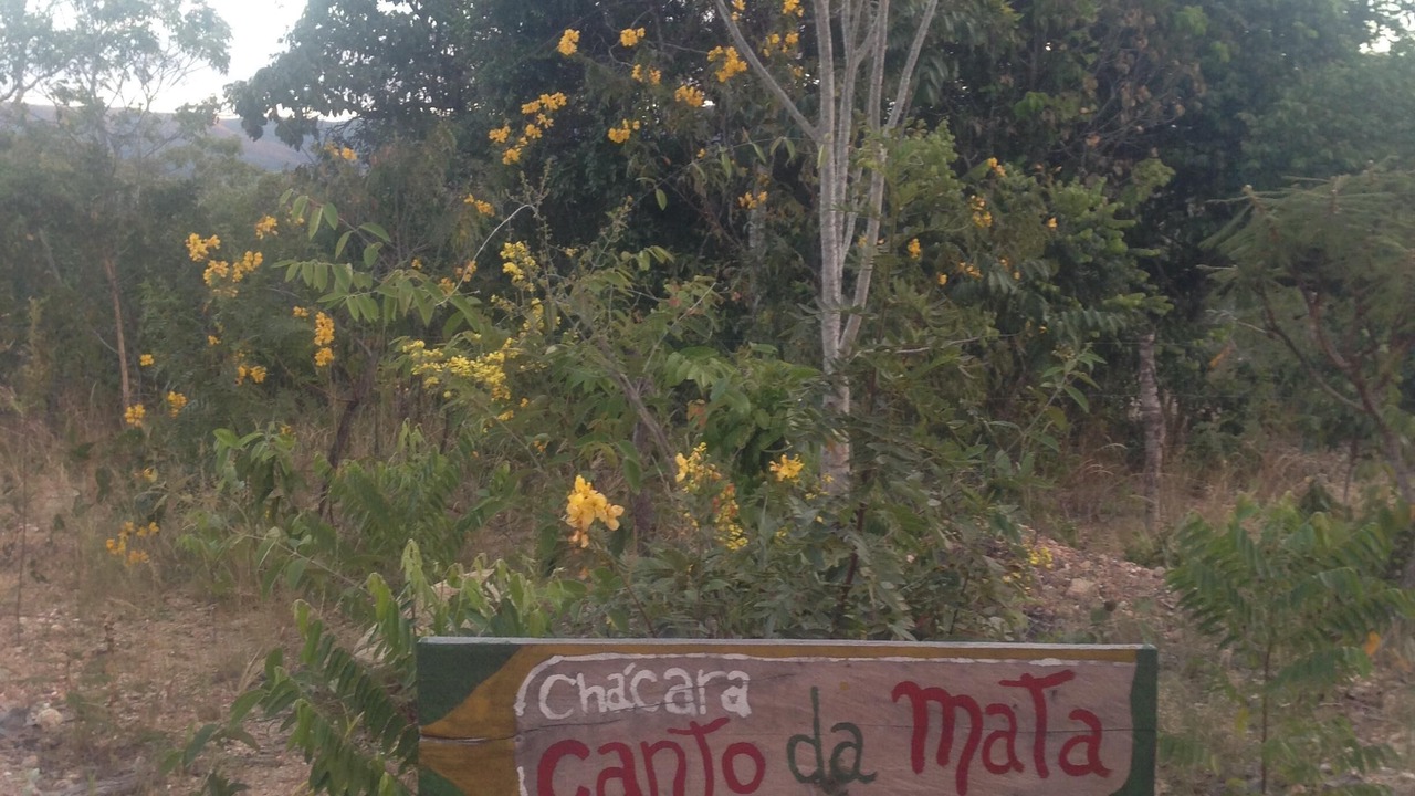 Photo of Outdoor in Cavalcante