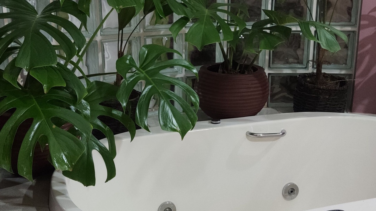 Photo of Bathroom in Cunha