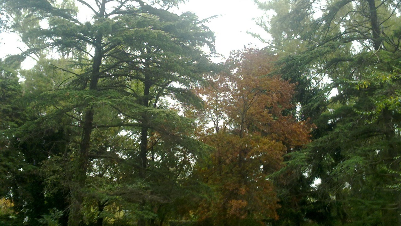 Photo of Outdoor in Ricardo Rojas