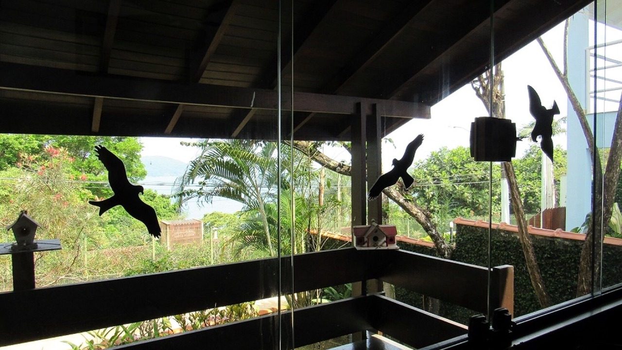 Photo of Others in Caraguatatuba