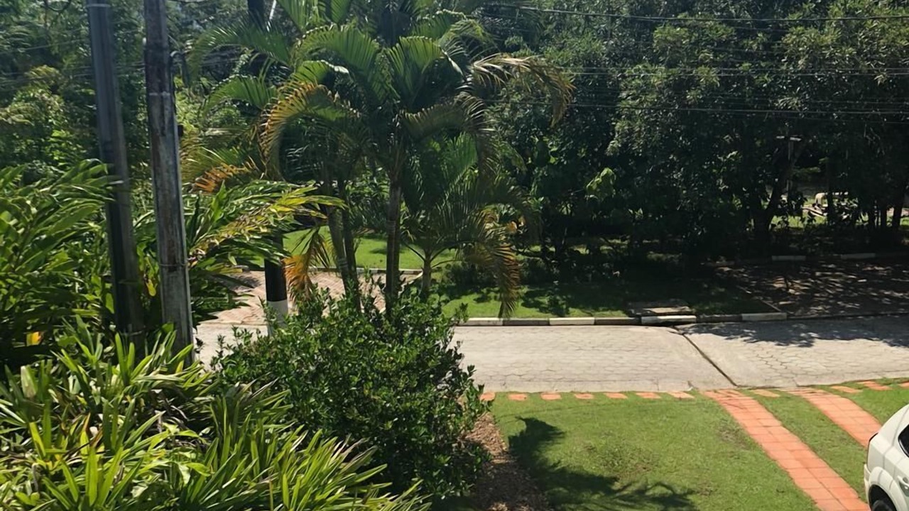 Photo of Outdoor in Baleia