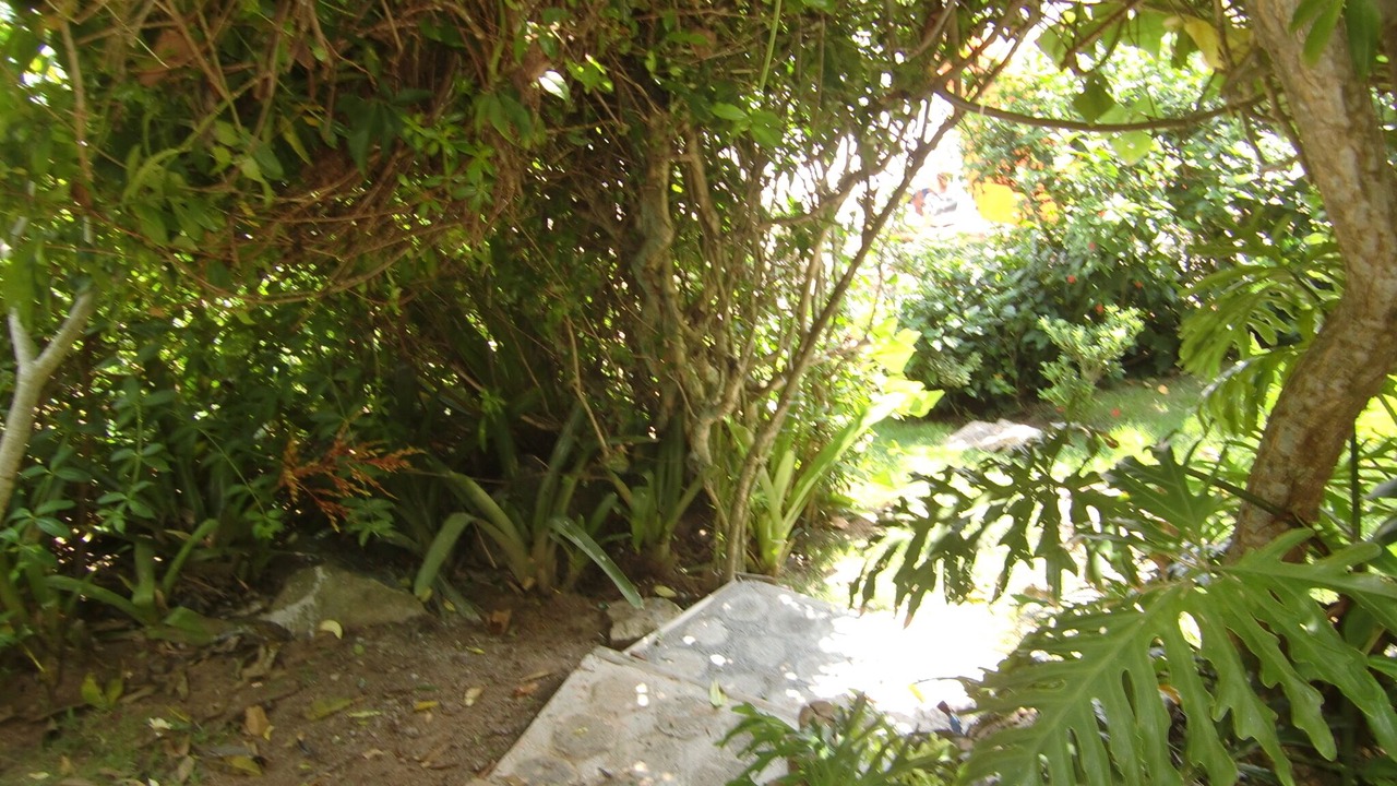 Photo of Outdoor in Garopaba