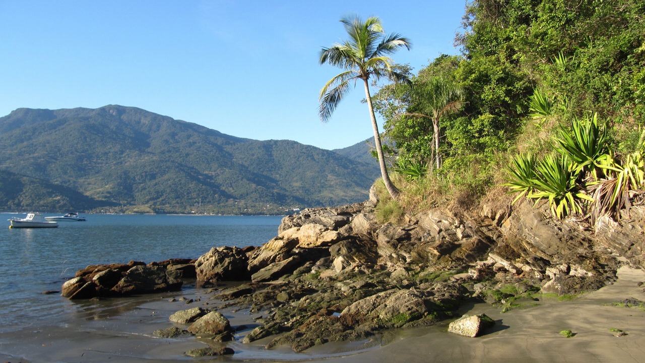 Photo of Others in Praia Grande