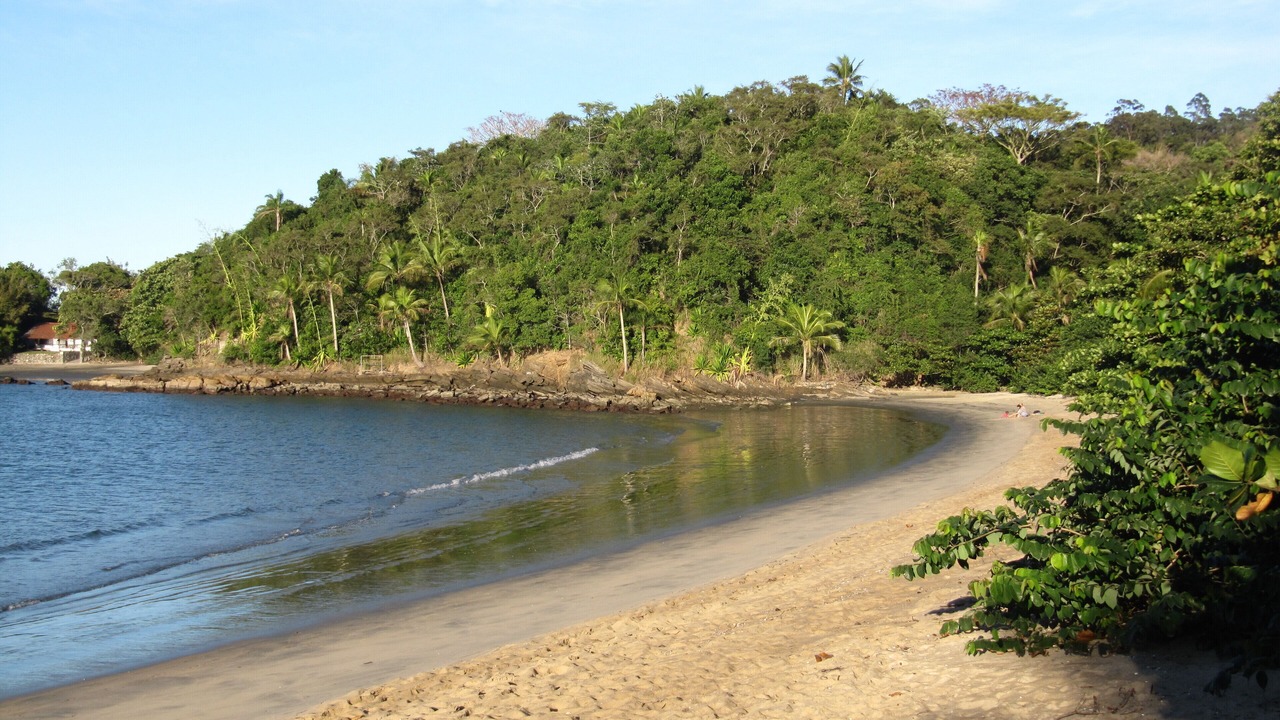 Photo of Others in Praia Grande
