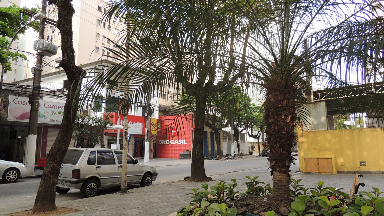 Photo of Others in Pitangueiras