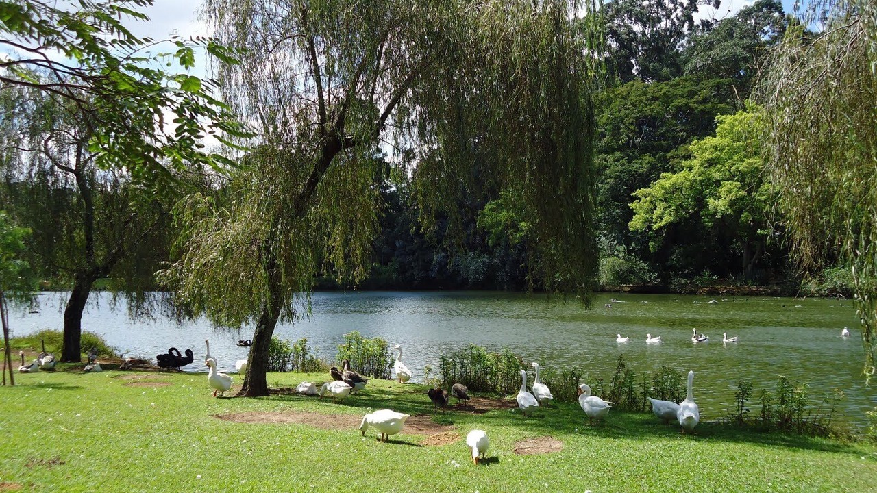 Photo of Outdoor in Vila Olimpia