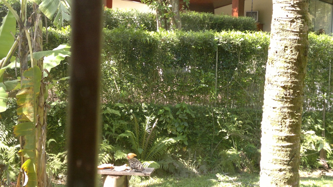 Photo of Outdoor in Costa do Sol