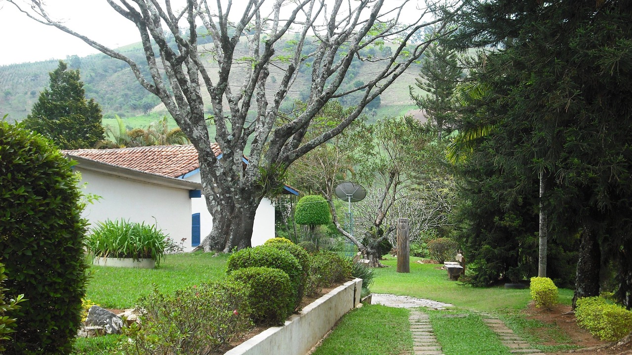 Photo of Outdoor in Socorro