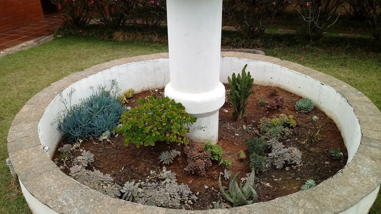 Photo of Outdoor in Socorro