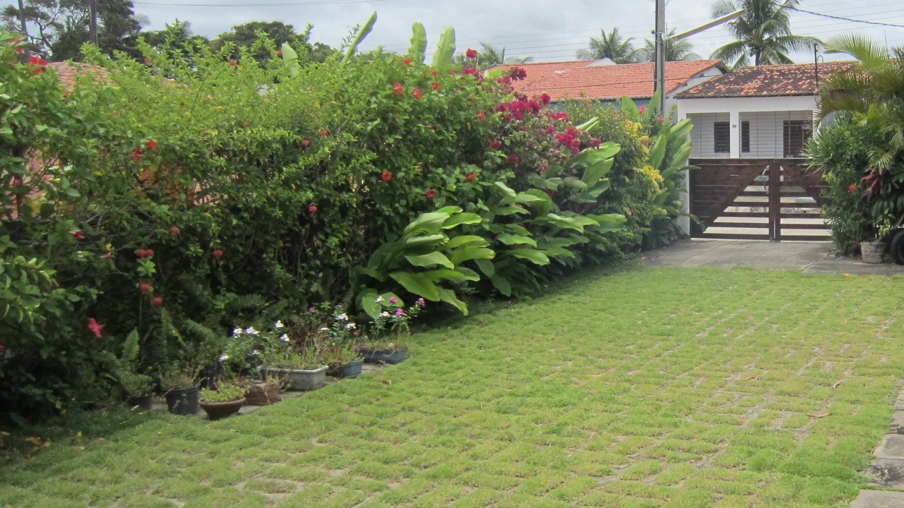 Photo of Outdoor in Sao Jose da Coroa Grande