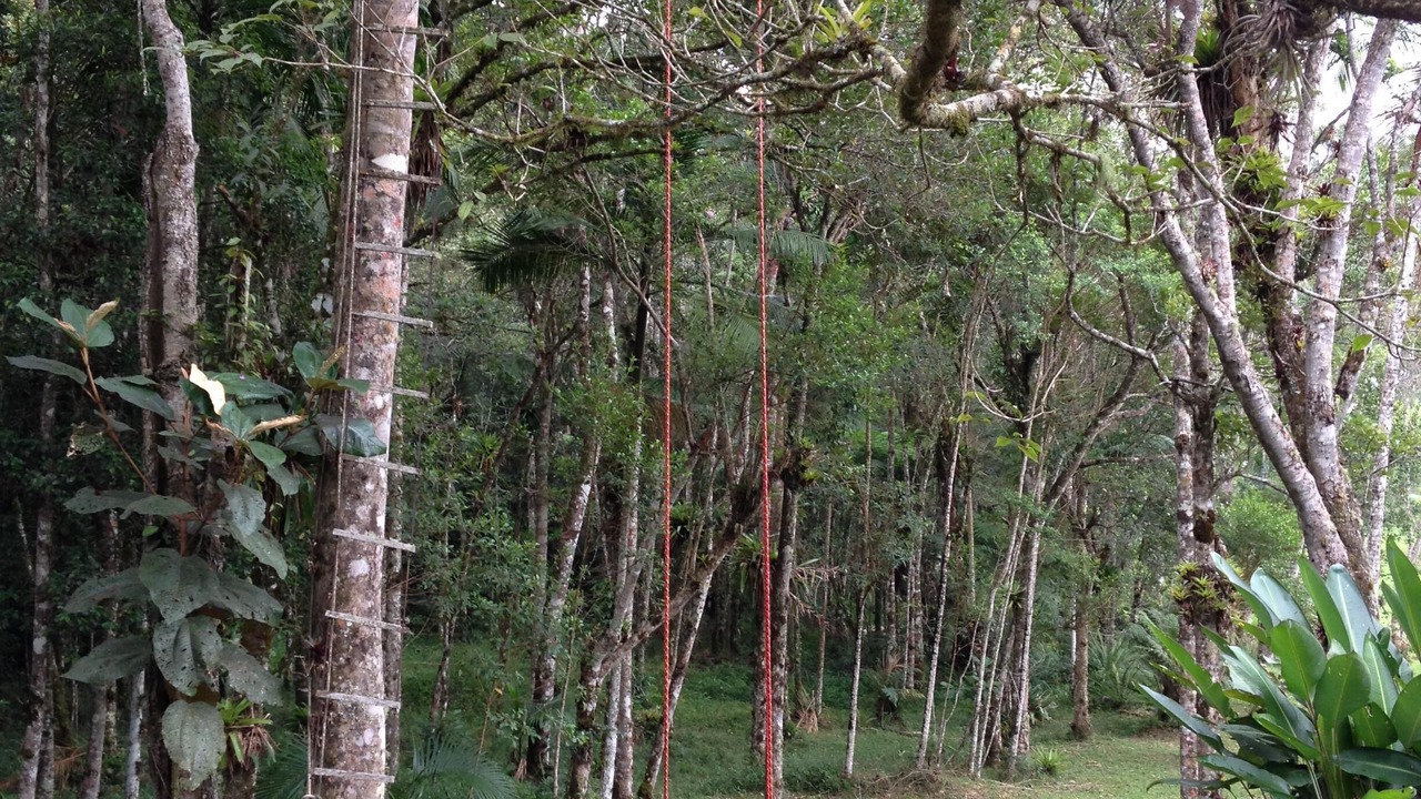 Photo of Outdoor in Juquitiba