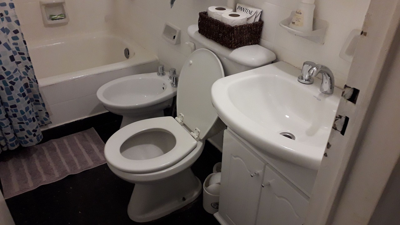 Photo of Bathroom in Congreso