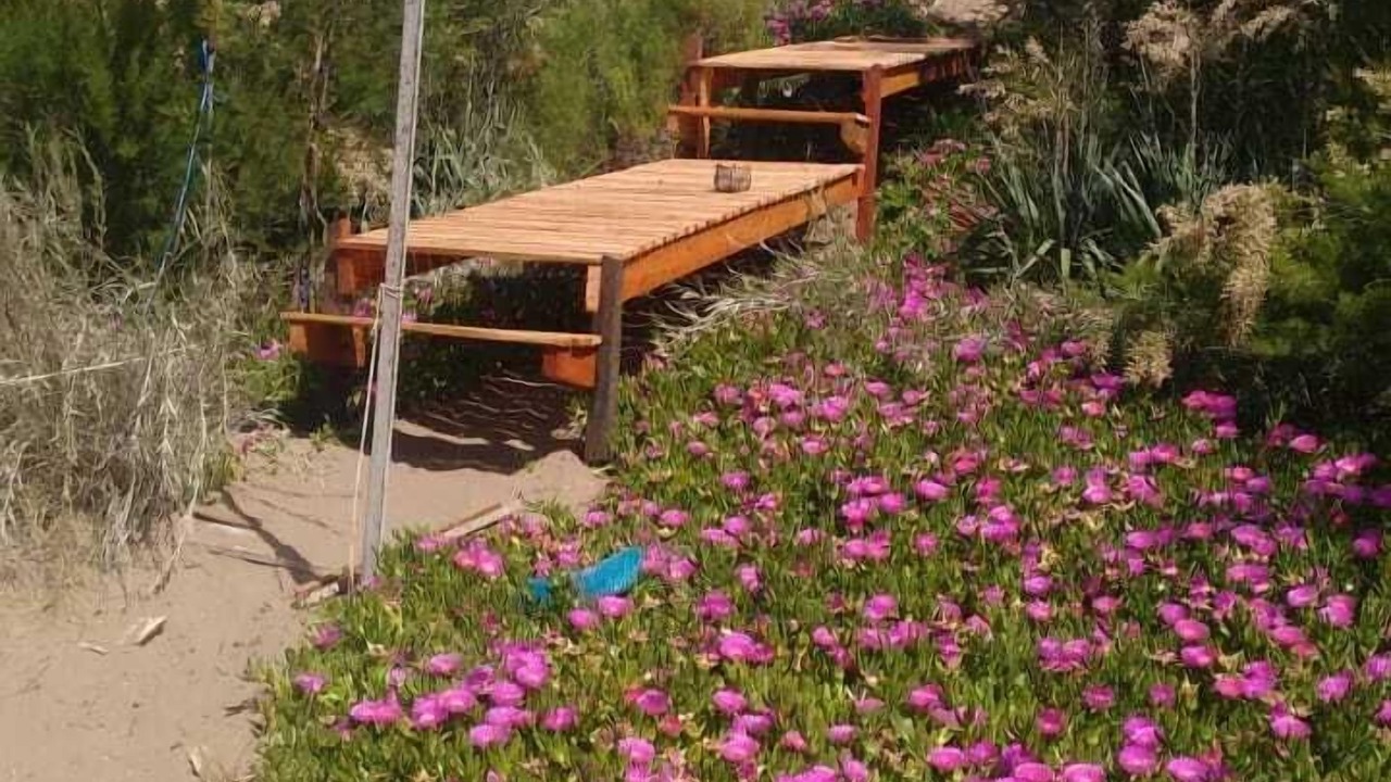 Photo of Outdoor in Balneario Sauce Grande