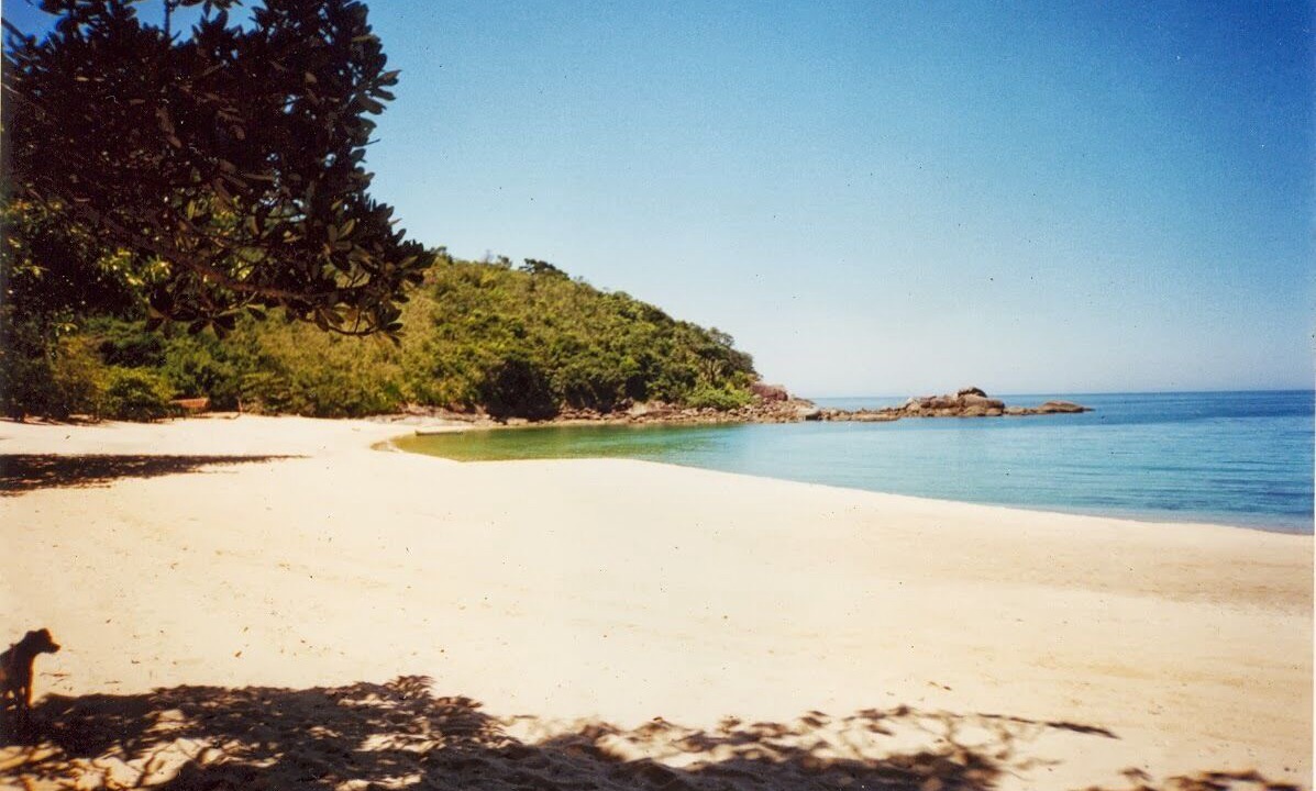 Photo of Others in Itaguassu