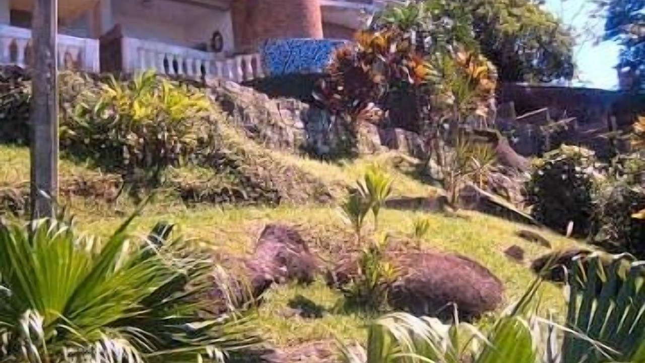 Photo of Outdoor in Tenorio
