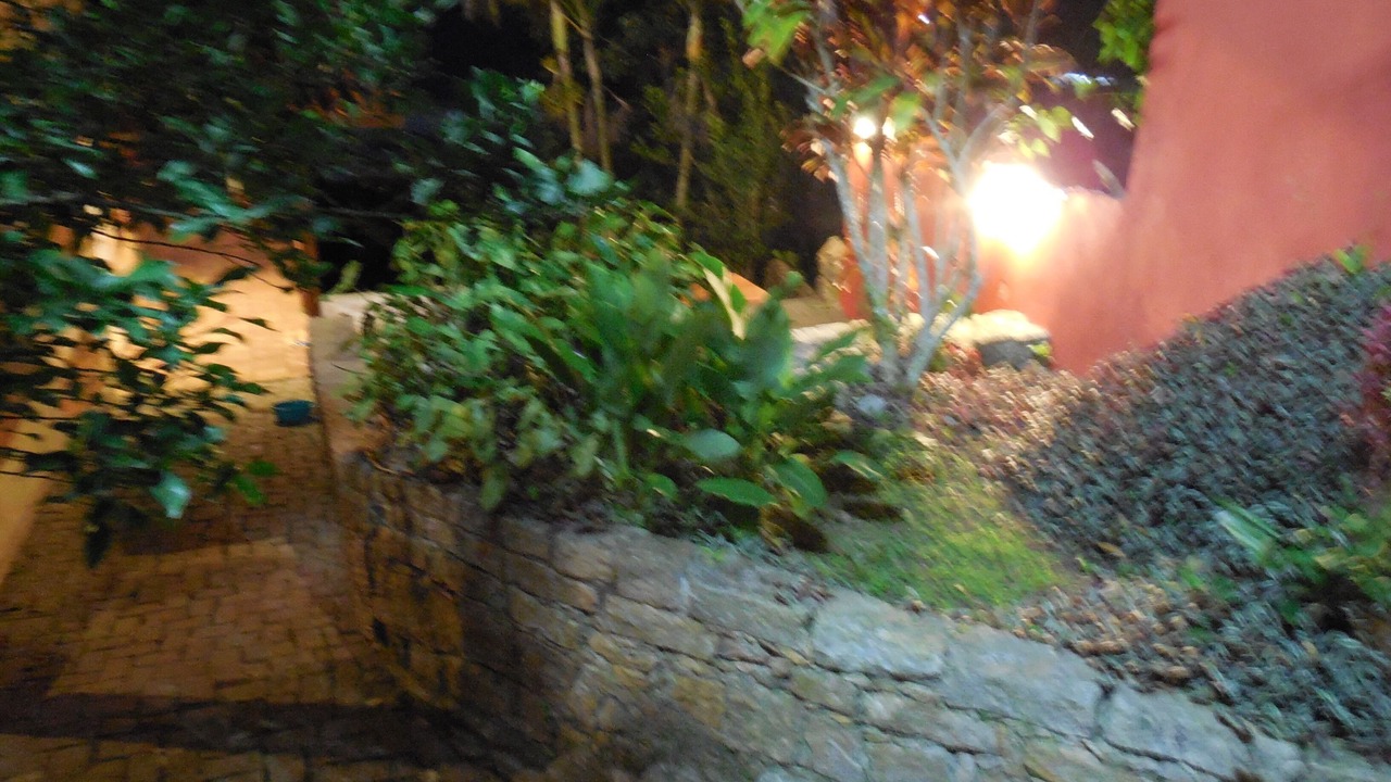 Photo of Outdoor in Tenorio