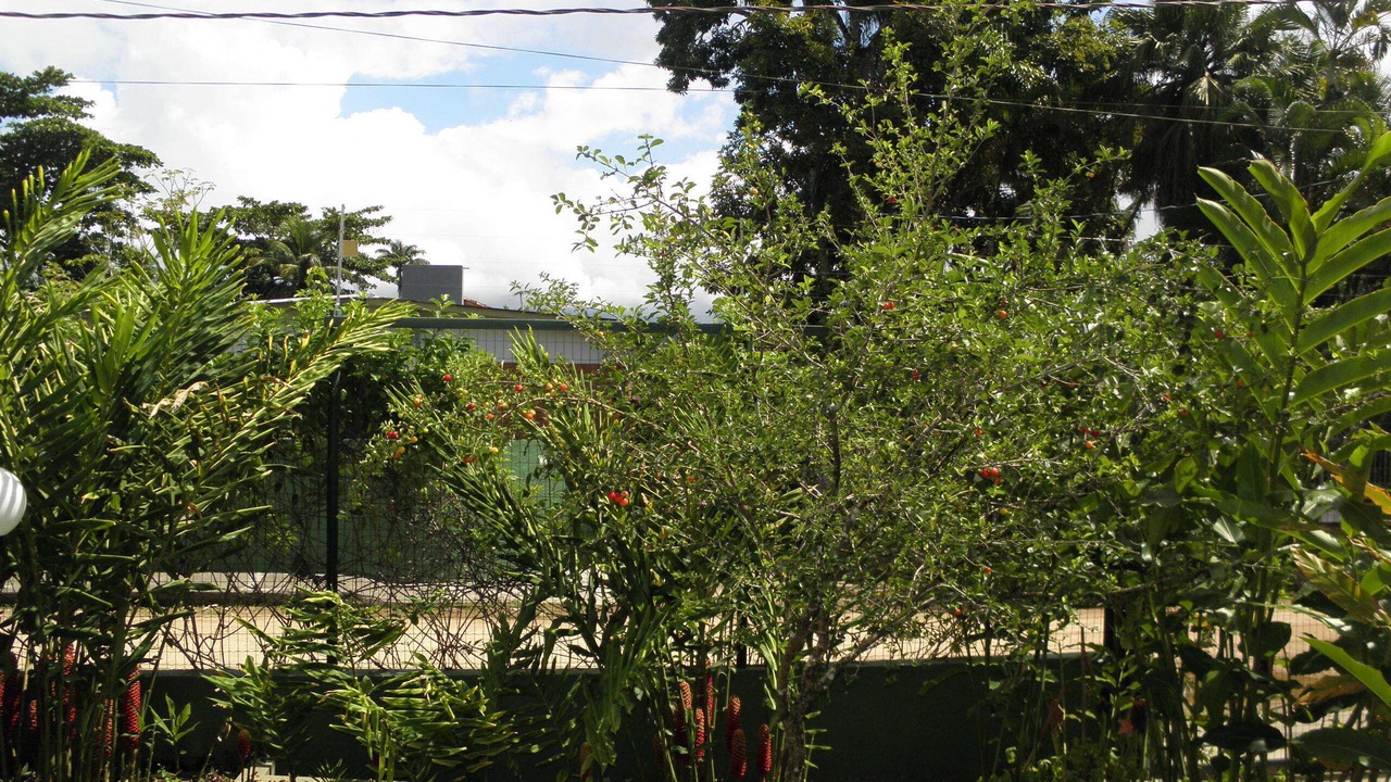 Photo of Outdoor in Lazaro