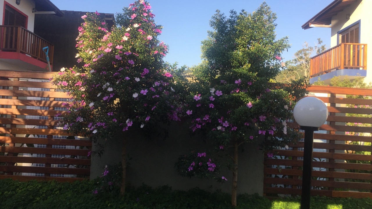 Photo of Outdoor in Lazaro