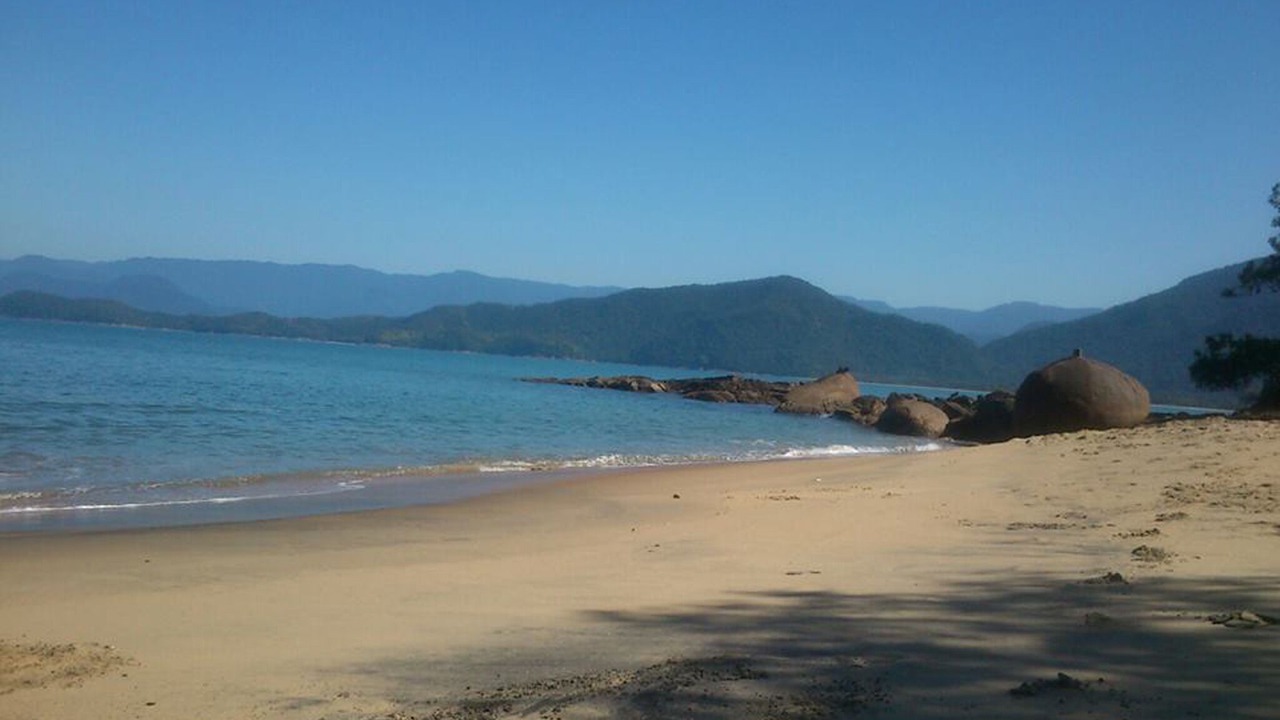 Photo of Others in Picinguaba
