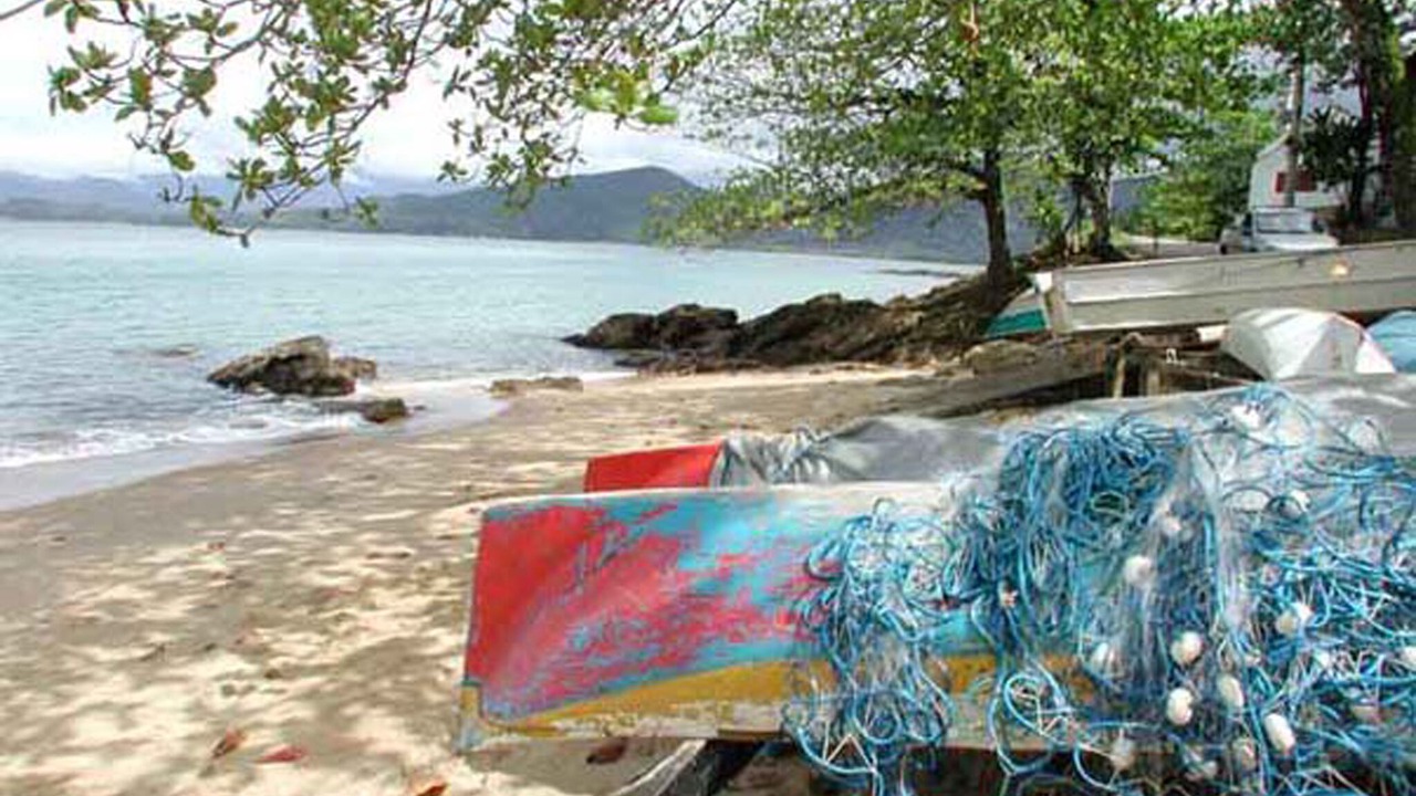 Photo of Others in Picinguaba