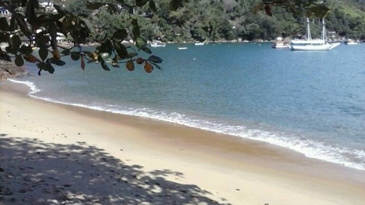 Photo of Others in Picinguaba