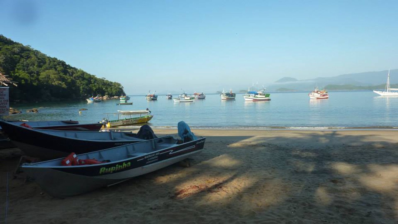 Photo of Others in Picinguaba