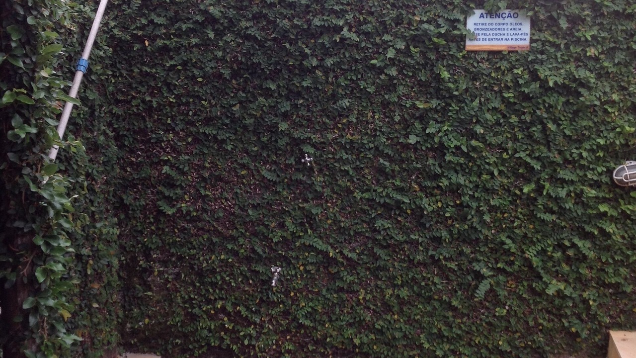 Photo of Outdoor in Camburi