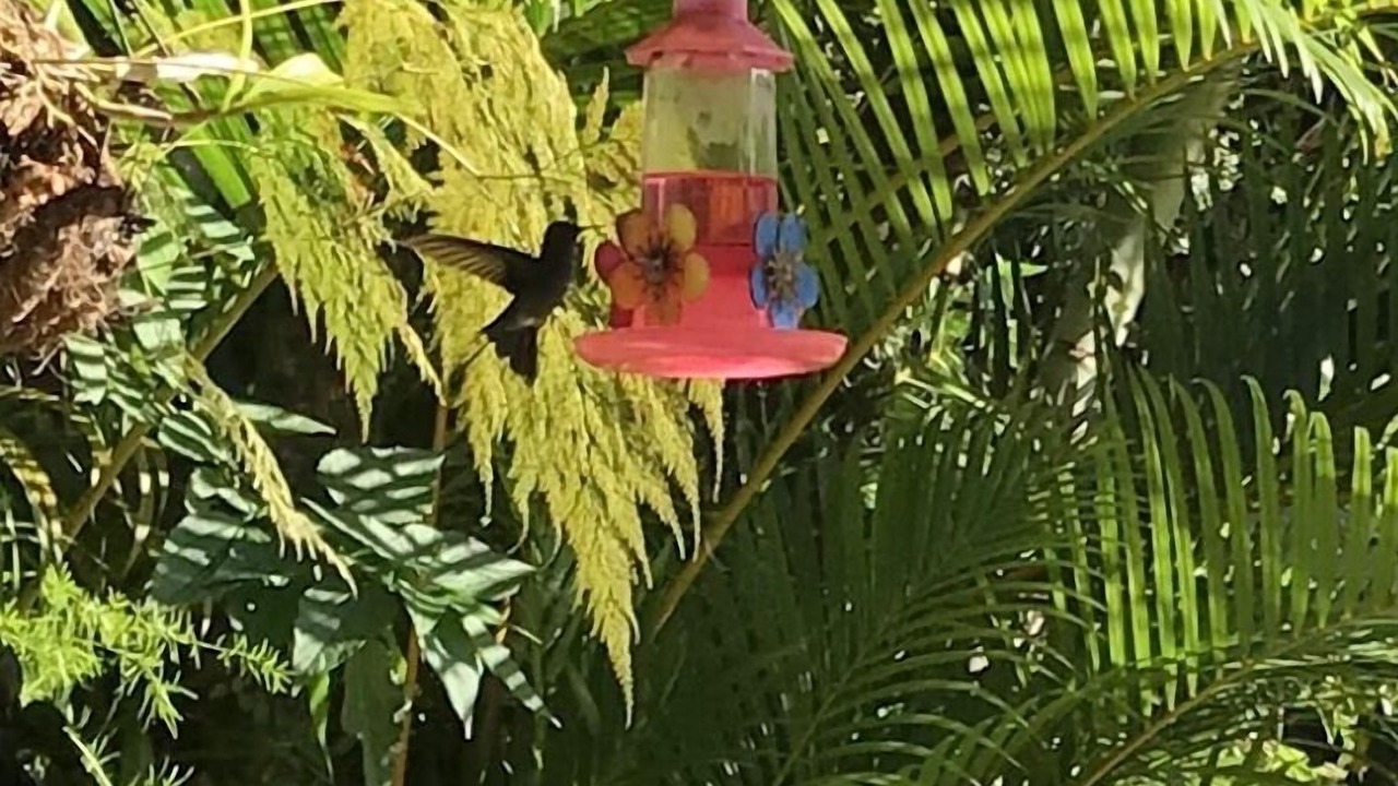 Photo of Outdoor in Riviera de Sao Lourenco