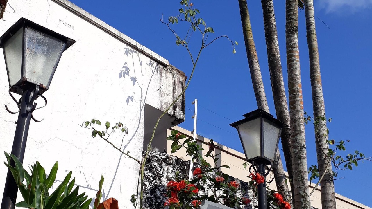 Photo of Outdoor in Jardim Virginia