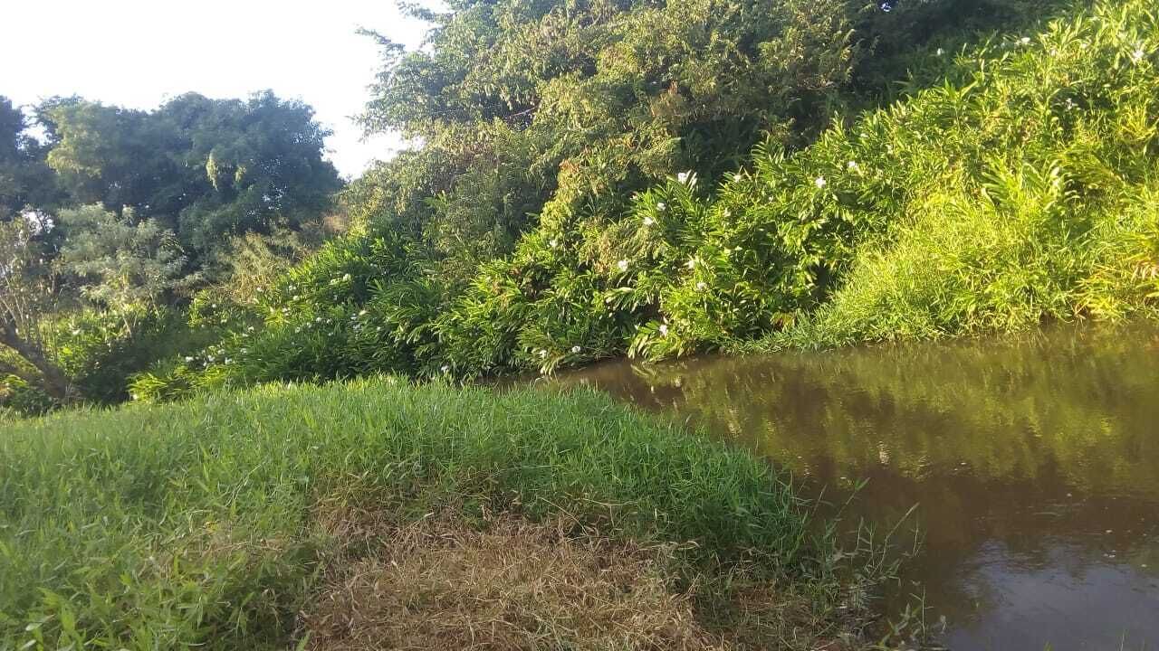 Photo of Outdoor in Torrinha