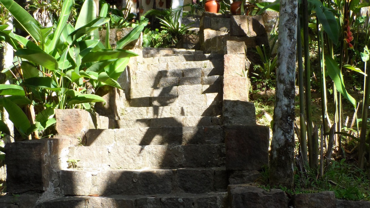 Photo of Outdoor in Picinguaba