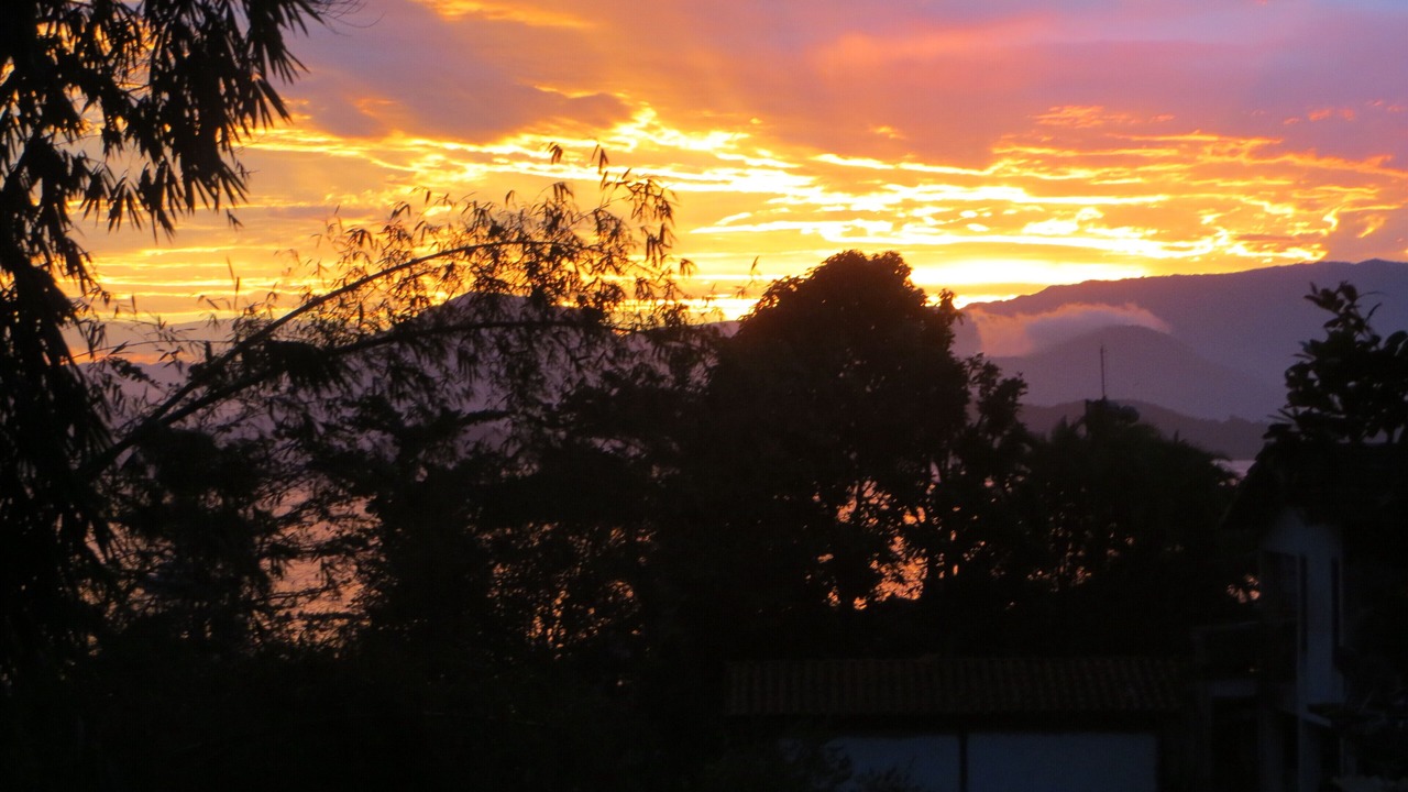 Photo of Others in Picinguaba