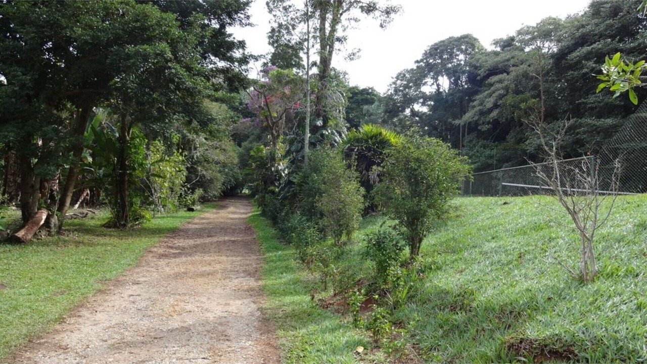 Photo of Outdoor in Santa Luzia