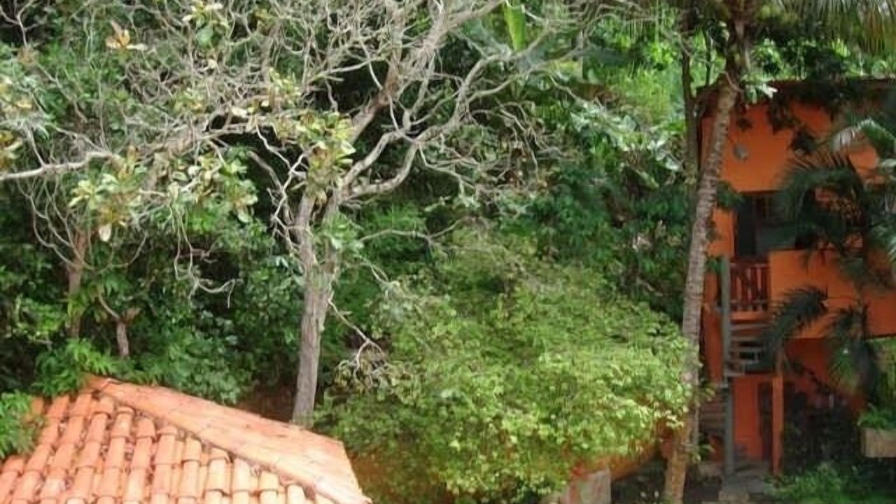 Photo of Outdoor in Barequecaba
