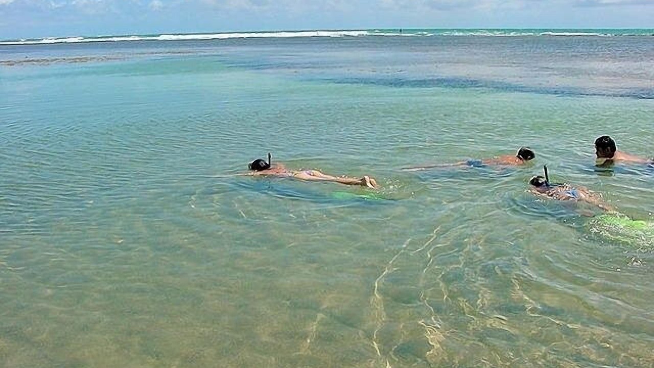 Photo of Others in Sao Jose da Coroa Grande