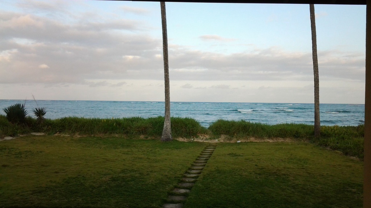 Photo of Others in Sao Jose da Coroa Grande