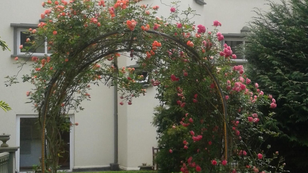 Photo of Outdoor in Jardim Alpestre