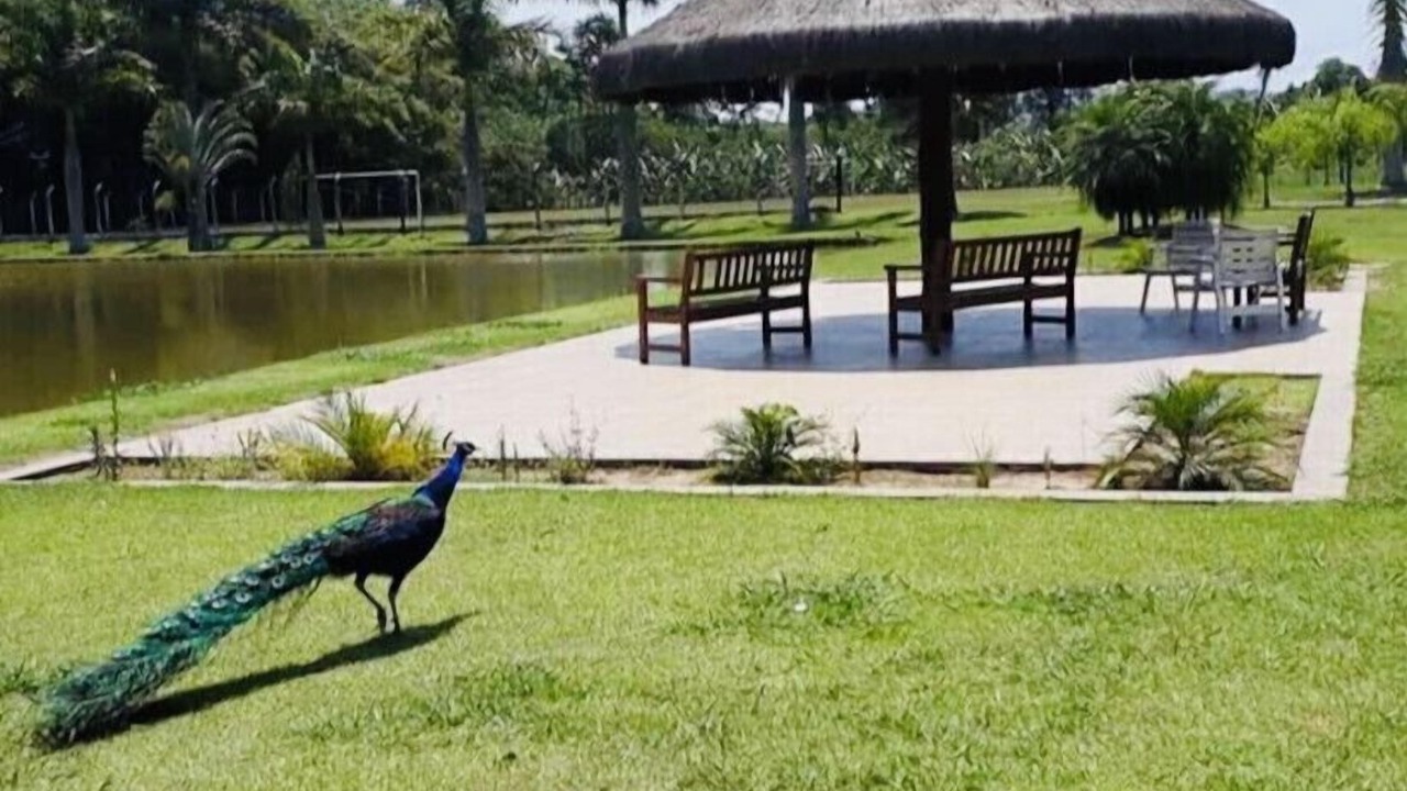 Photo of Outdoor in Jundiai
