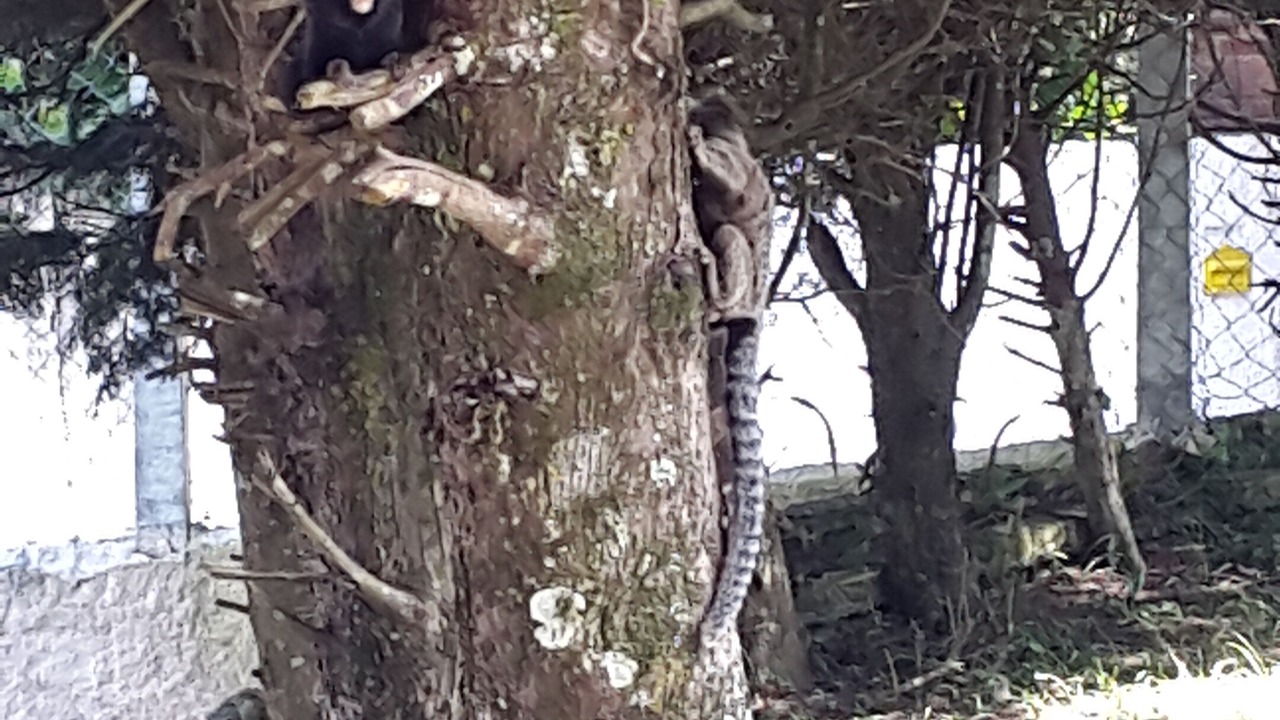 Photo of Outdoor in Mairipora