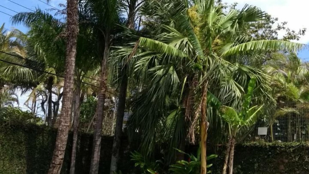 Photo of Outdoor in Maresias