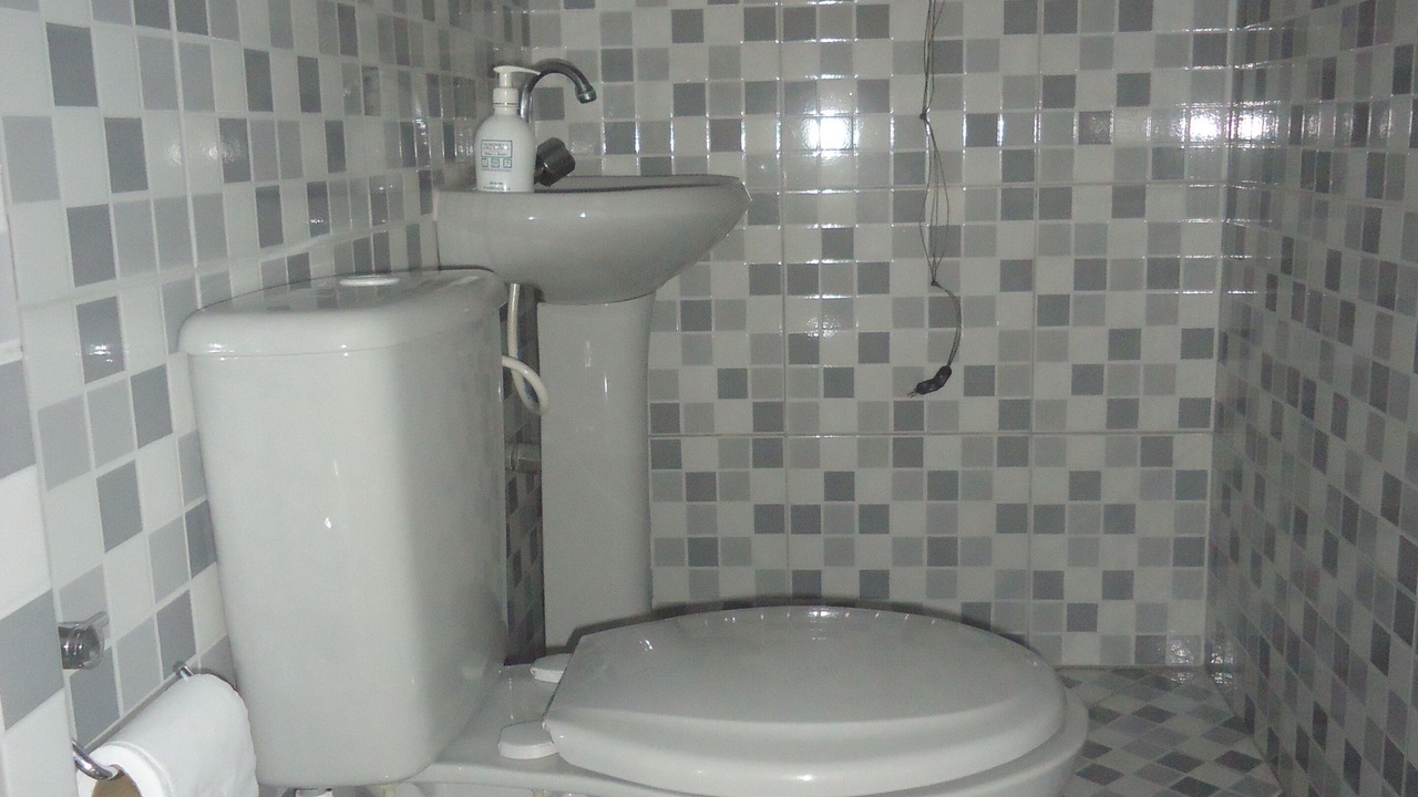 Photo of Bathroom in Juquehy