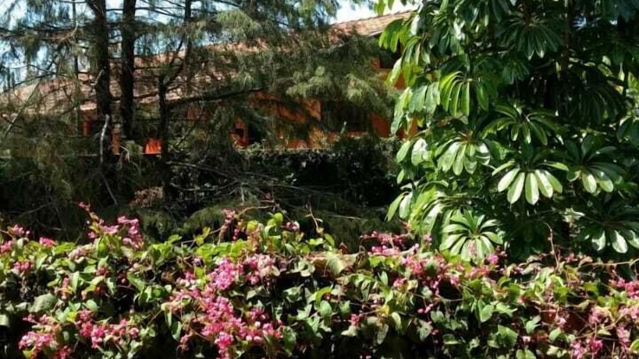 Photo of Outdoor in Valinhos