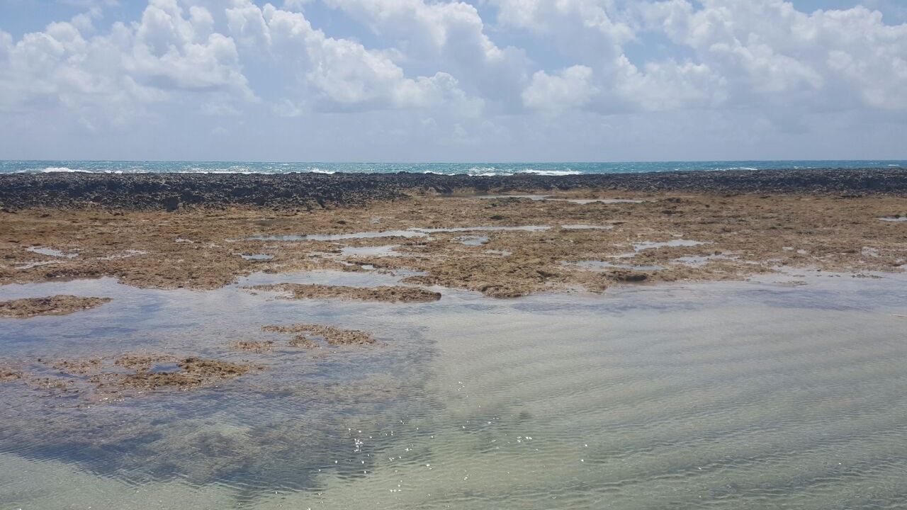 Photo of Others in Sao Jose da Coroa Grande