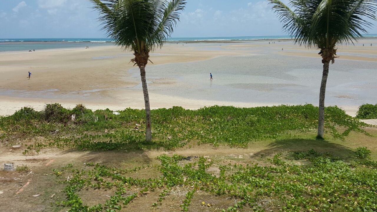 Photo of Others in Sao Jose da Coroa Grande