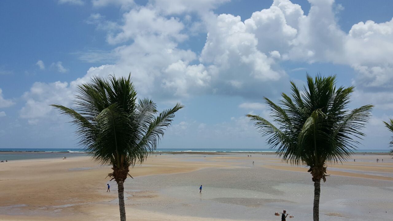 Photo of Others in Sao Jose da Coroa Grande