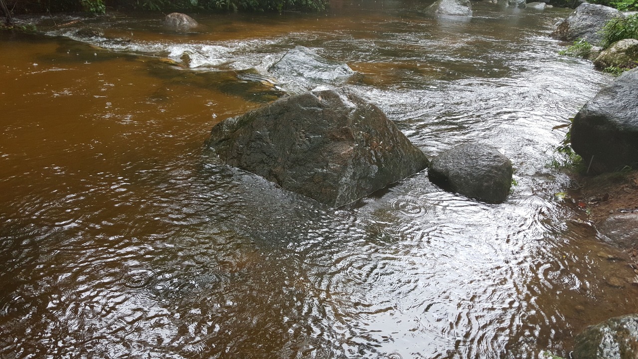 Photo of Others in Caraguatatuba