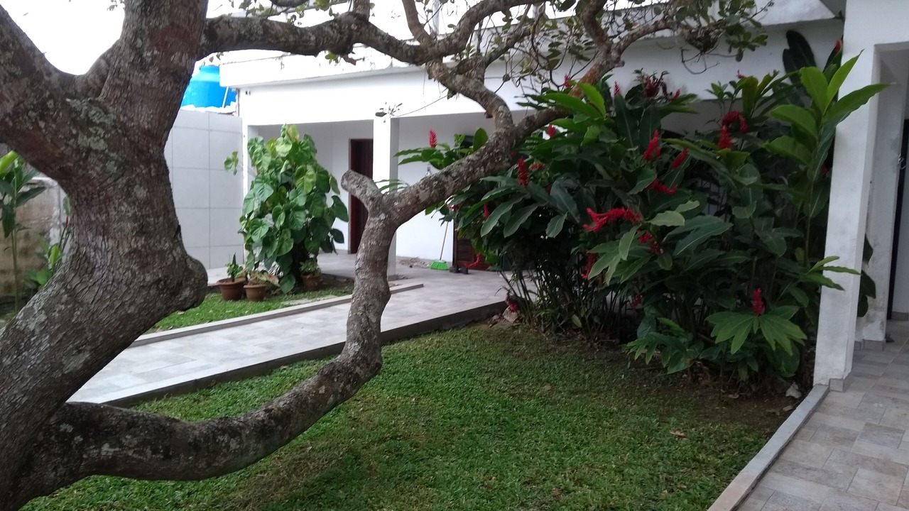 Photo of Outdoor in Boraceia