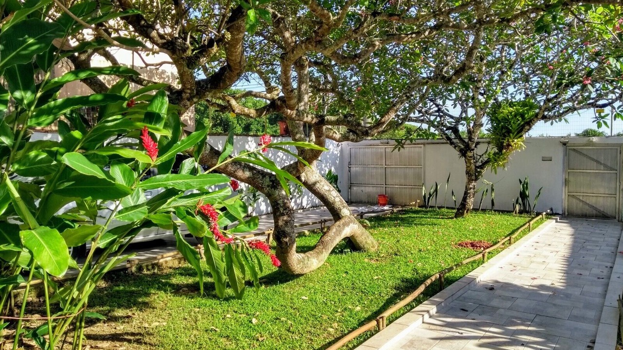 Photo of Outdoor in Boraceia