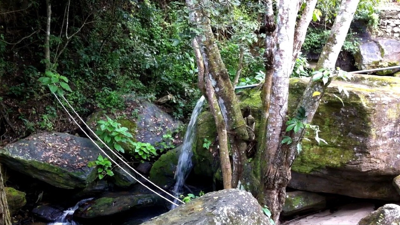 Photo of Outdoor in Pacoti